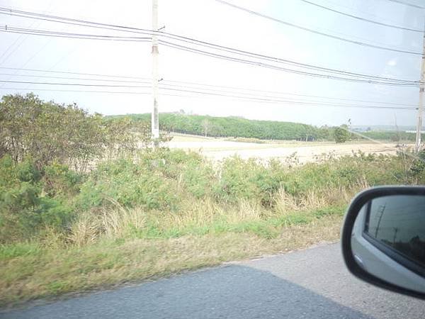 2011030802.JPG