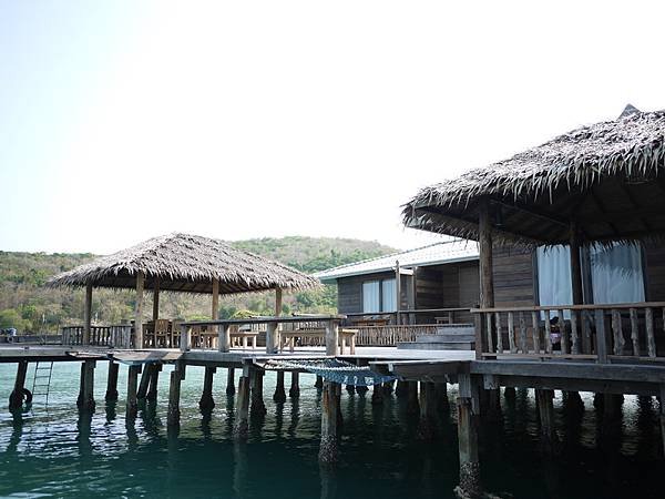 2011031110.JPG