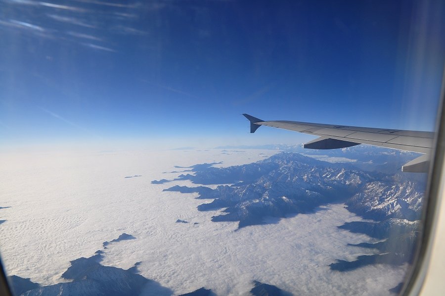DSC_0208-1.jpg
