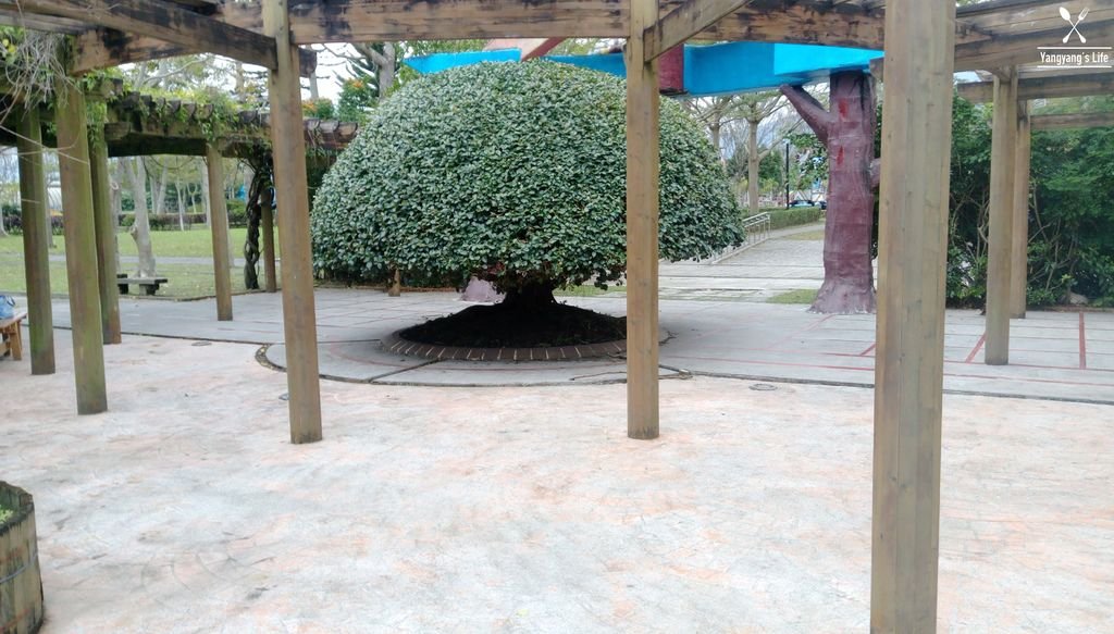 IMAG4598.jpg