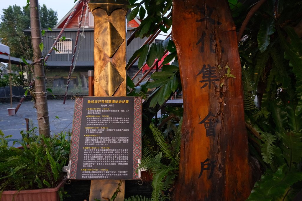 DSCF4531.JPG