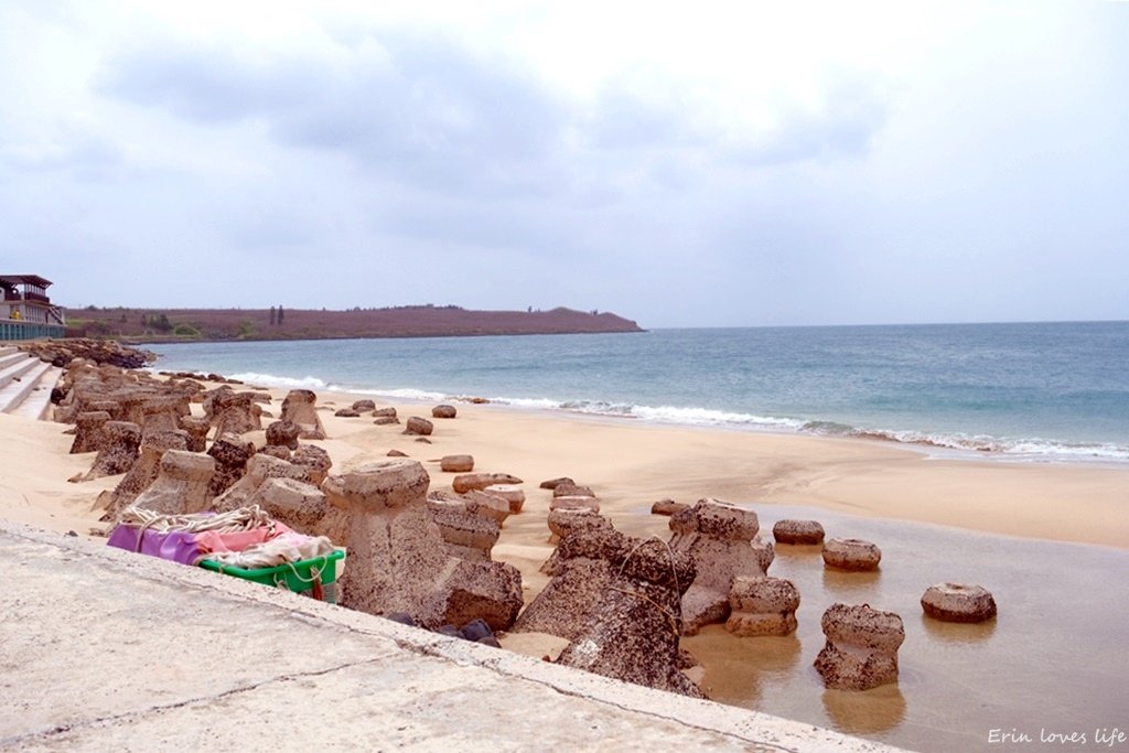 DSCF1791.JPG