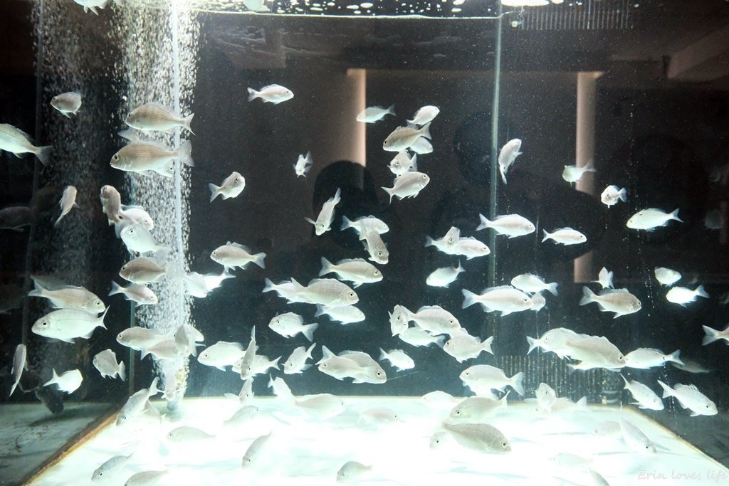 DSCF0727.JPG