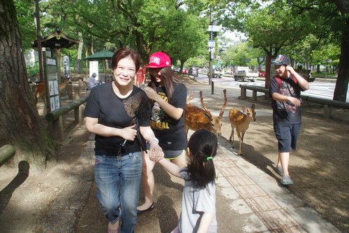 0630-3 奈良公園 (19).JPG - 107.07-09奈鳥神阪