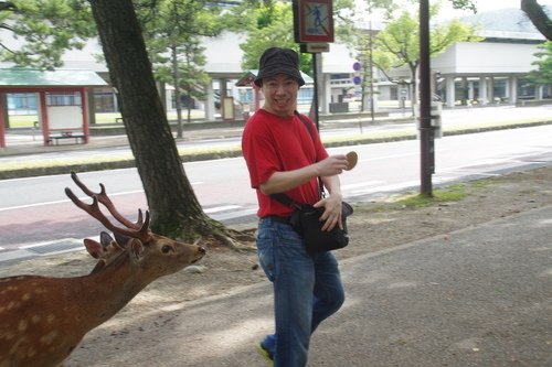 0630-3 奈良公園 (24).JPG - 107.07-09奈鳥神阪