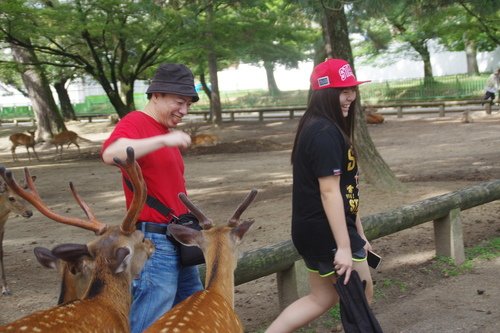 0630-3 奈良公園 (30).JPG - 107.07-09奈鳥神阪