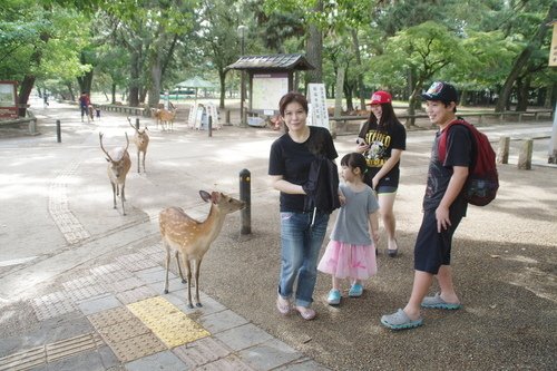 0630-3 奈良公園 (49).JPG - 107.07-09奈鳥神阪