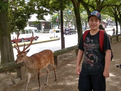 0630-3 奈良公園 (51).jpg - 107.07-09奈鳥神阪