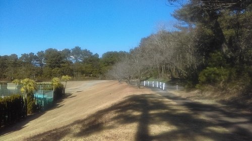 0124 宮崎跑步 (14).jpg - 107.01-03九州