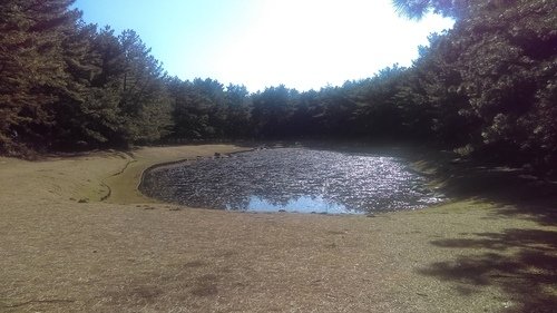 0124 宮崎跑步 (18).jpg - 107.01-03九州