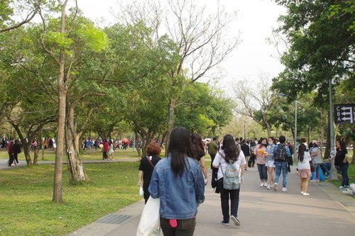 0329 五月天 (11).JPG - 106.01-03
