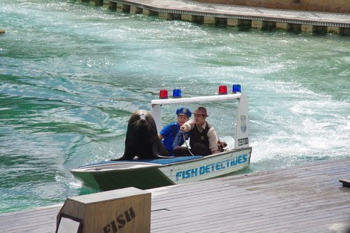 0307-1 Sea World  (16).JPG - 105.03黃金海岸