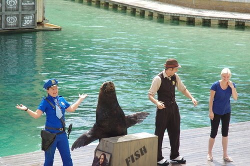 0307-1 Sea World  (21).JPG - 105.03黃金海岸