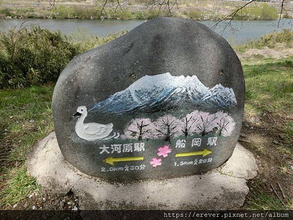 CIMG1708_大小.JPG