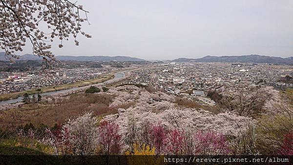 DSC_0154_大小.JPG