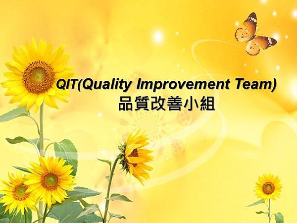 1-01.QIT(Quality Improvement Team)品質改善小組.jpg