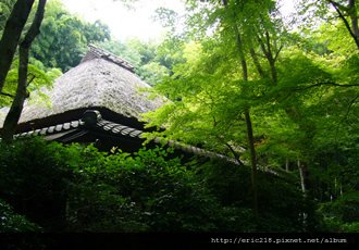 祇王寺