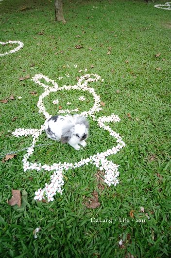 DSC_0887.jpg