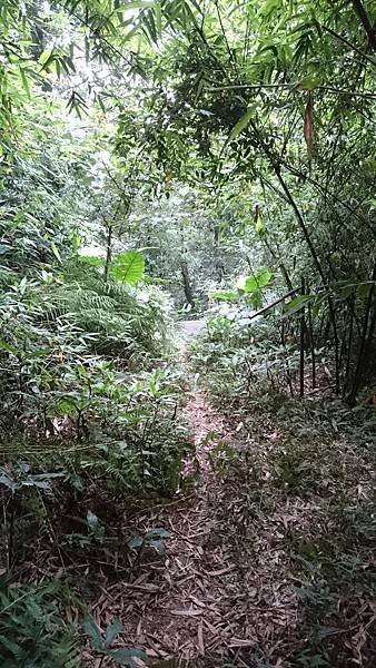 石灰坑山_170630_0005.jpg