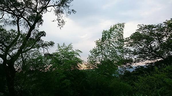 石灰坑山_170630_0034.jpg