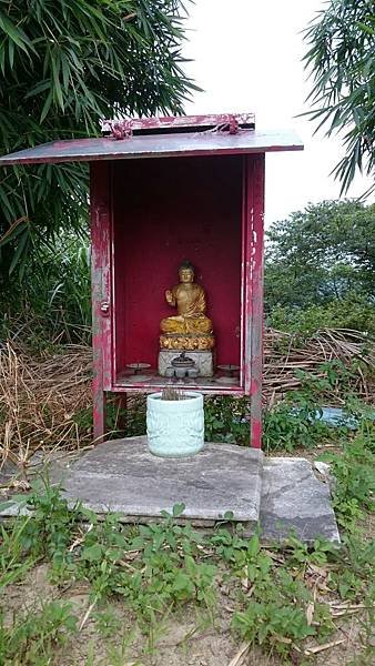 石灰坑山_170630_0037.jpg