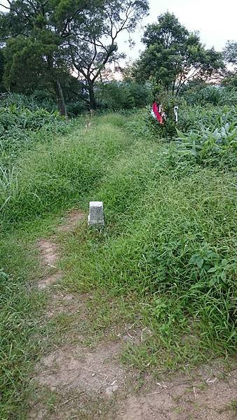 石灰坑山_170630_0038.jpg
