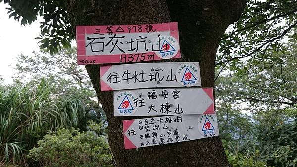 石灰坑山_170630_0040.jpg