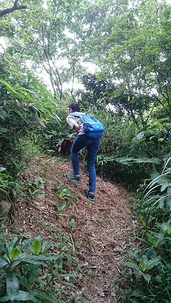 石灰坑山_170630_0046.jpg
