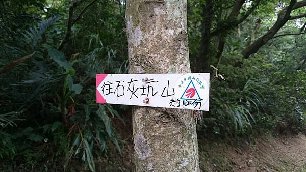 石灰坑山_170630_0055.jpg
