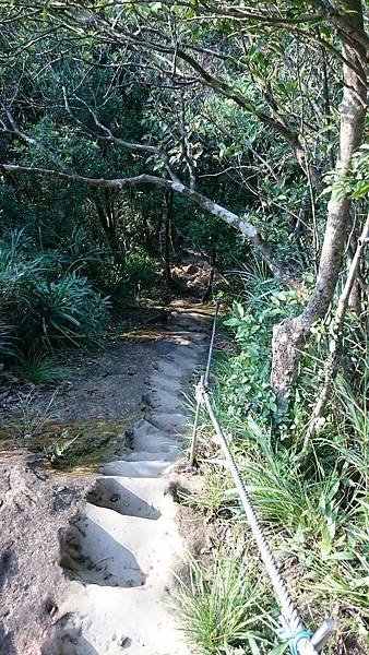 下內平林山 慈母峰 白鷹石 雙溪風景_170829_0066.jpg