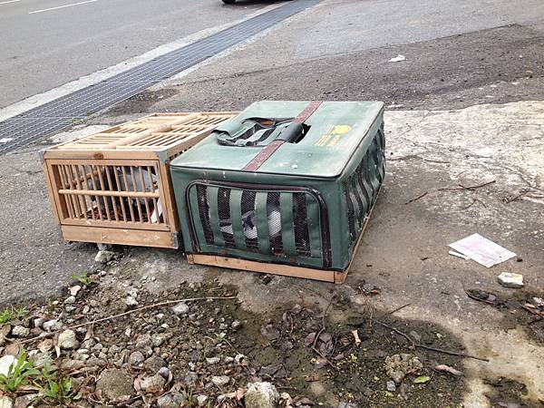 龍鳳港等車