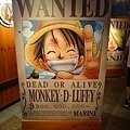 DSC02343.JPG