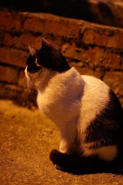 DSC00116.JPG