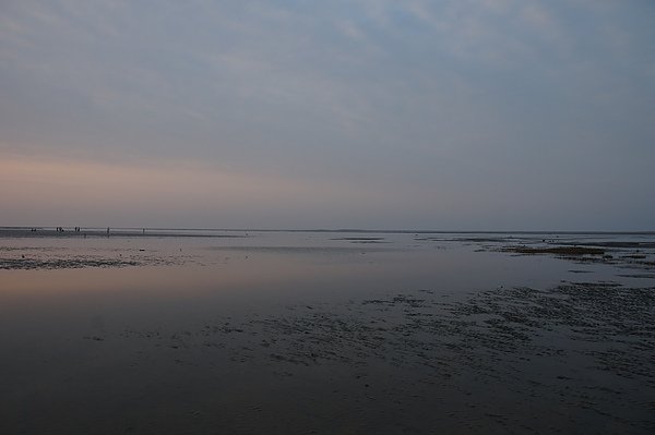 DSC00033.JPG