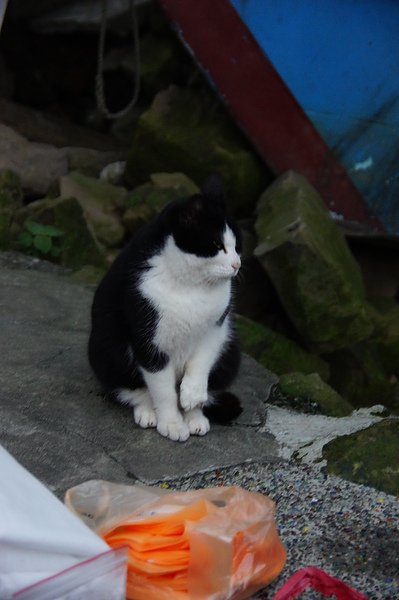 DSC00102.JPG