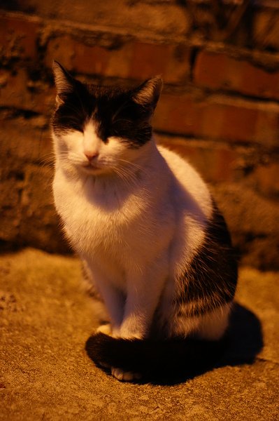 DSC00118.JPG