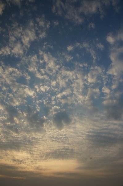 DSC00019.JPG