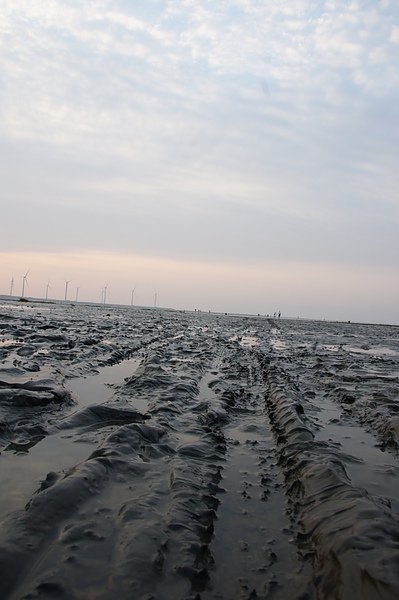 DSC00023.JPG