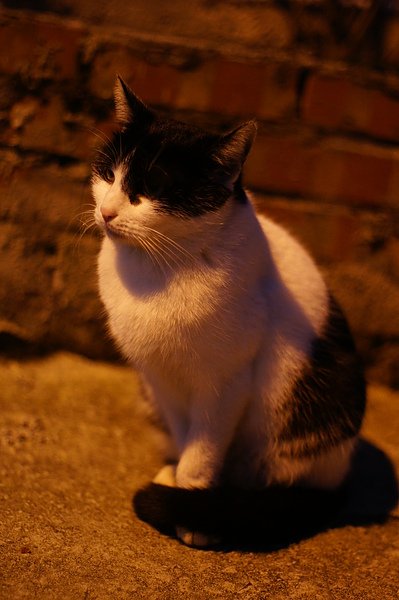 DSC00117.JPG