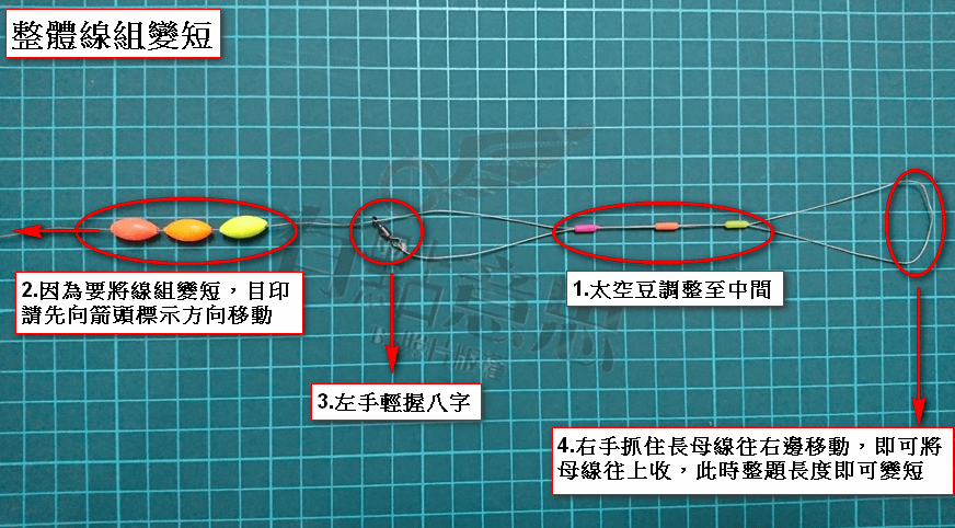 龍蝦線組變短.png