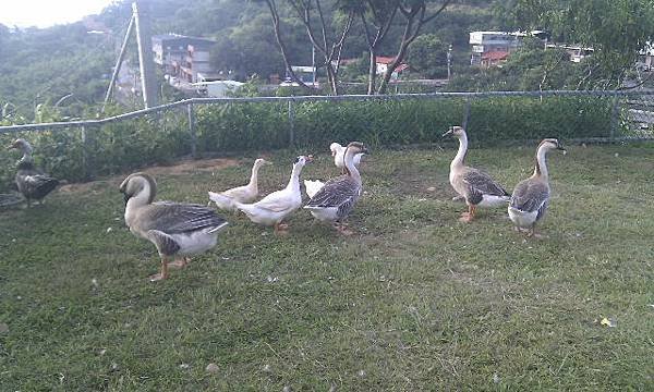 IMAG0275.jpg