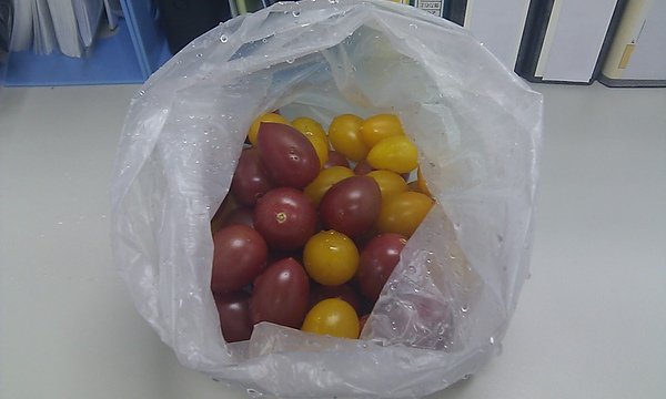 IMAG0487.jpg