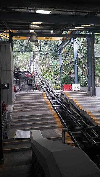 20170204 (16)升旗山.jpg