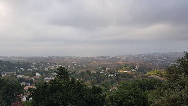 20190813_084549.jpg