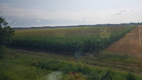 20190718_094829.jpg