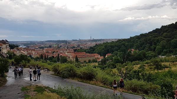 20190721_155557.jpg