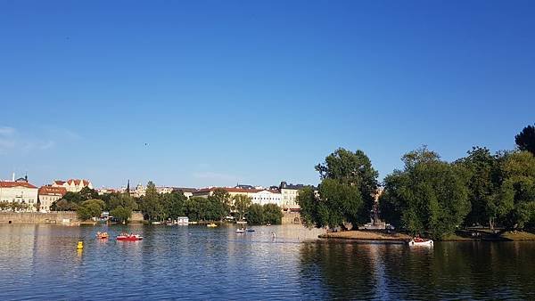 20190724_190328.jpg