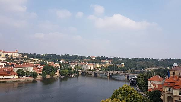 20190730_103843.jpg