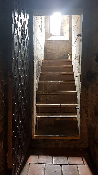 20190730_111252.jpg