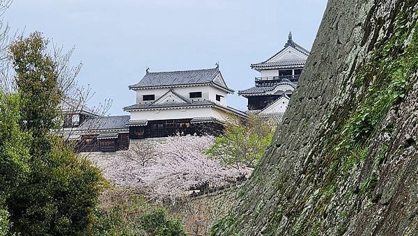 【國外旅行】母女二人跟團。日本四國之旅第三天